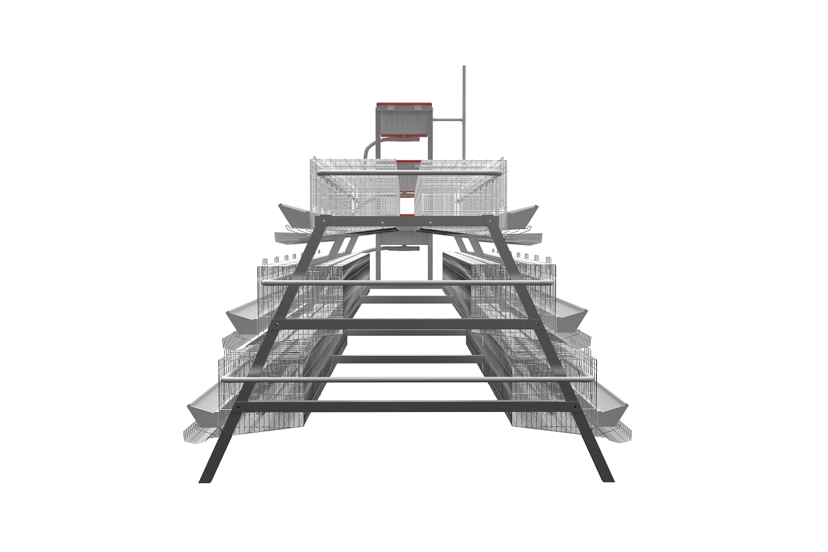 Клетка для кур-несушек