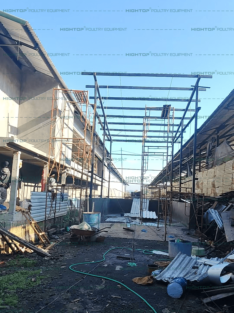 Установка автоматизированного птичника для несушек